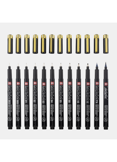 SK PIGMA MICRON BLACK&GOLD SET 12