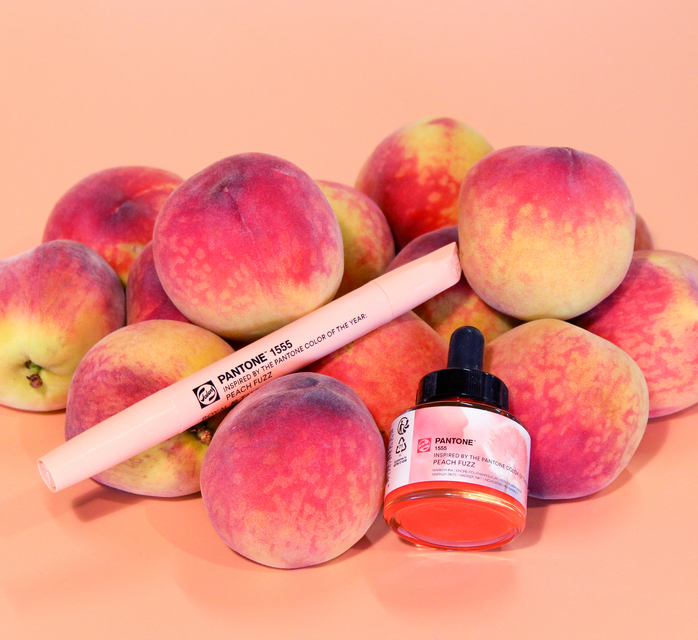 COLORE DELL'ANNO 2024