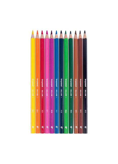 Bruynzeel Matite Super Color Set 12