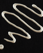 AMSTERDAM PASTE PER CONTORNI