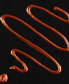 AMSTERDAM PASTE PER CONTORNI