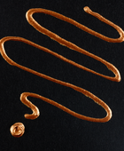 AMSTERDAM PASTE PER CONTORNI