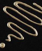 AMSTERDAM PASTE PER CONTORNI