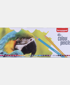BR MATITE COLORATE PARROT SET 45
