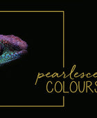FINETEC COLORI ACQUERELLABILI SET 24 COLORFUL