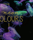 FINETEC PREMIUM COLORI ACQUERELLABILI SET 6 NEON