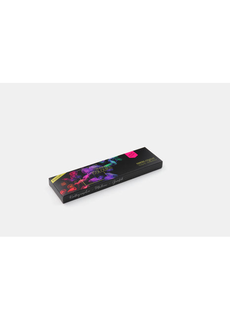 FINETEC PREMIUM COLORI ACQUERELLABILI SET 6 NEON