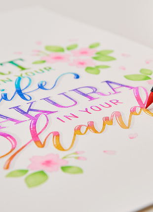 SK KOI COLORING BRUSH PEN